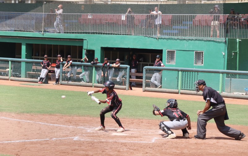 第12屆立德盃青少棒錦標賽登場，48隊國內棒球勁旅29日起在立德棒球場點燃戰火。