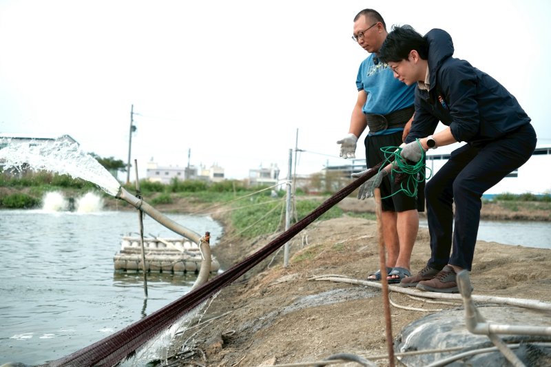 「鱸好家」負責人許懷聰(後) 指導青年局長林楷軒(前)灑網、捕撈等魚塭日常養殖工作。