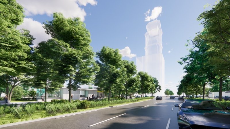 捷運黃線Y9站樹木移植引關注　民族路段專業評估兼顧交通安全與都市綠資源更新。