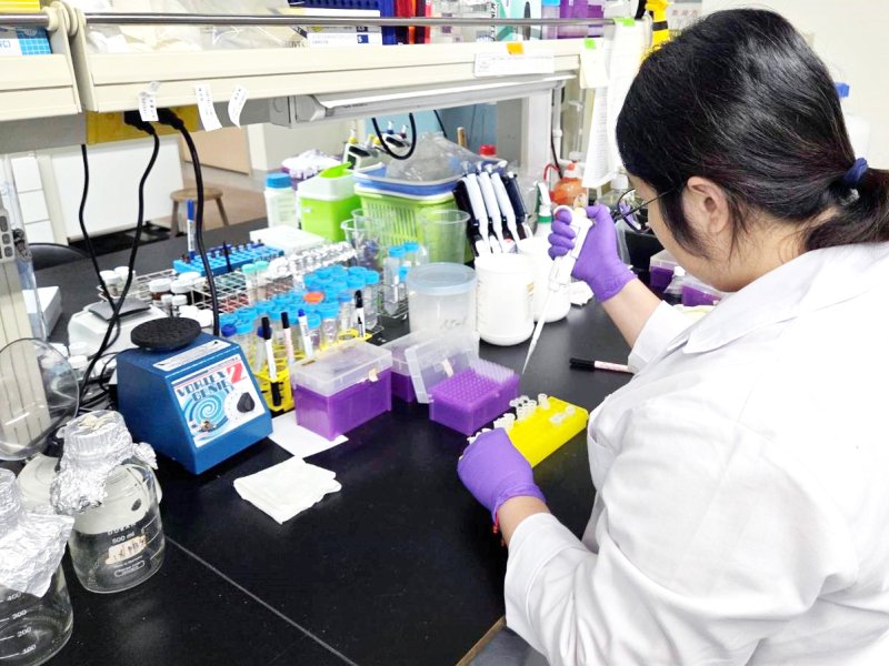 團隊收集氣喘患者的血液檢體進行DNA萃取，鑑定患者氣喘易感基因的表型，進一步分析在特定環境（如PAHs）暴露下，基因表型與疾病風險之關聯。