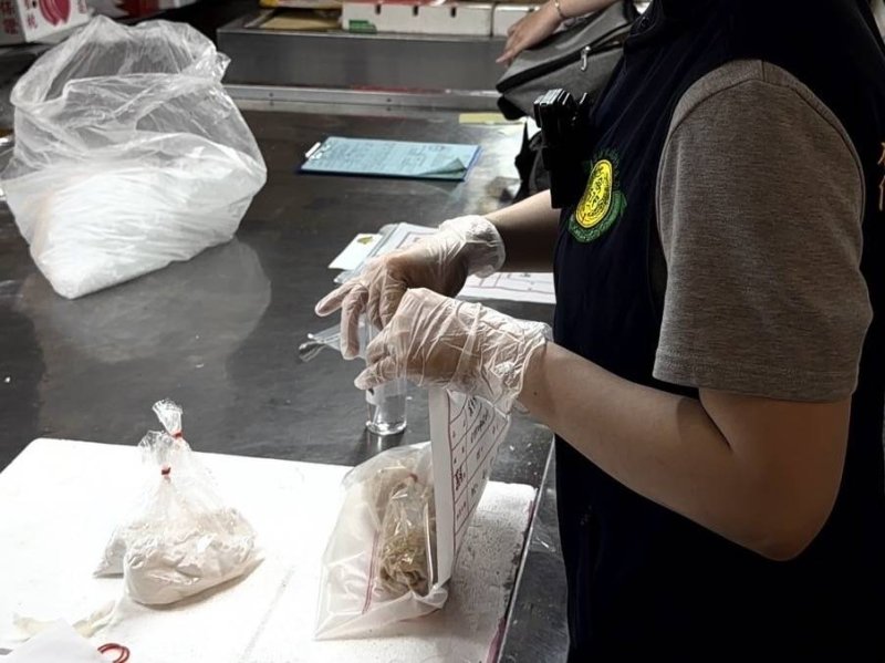 高雄春捲中毒滾雪球達134人 醫師揭食物保存「危險溫度」成關鍵