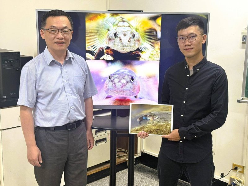 新聞圖片