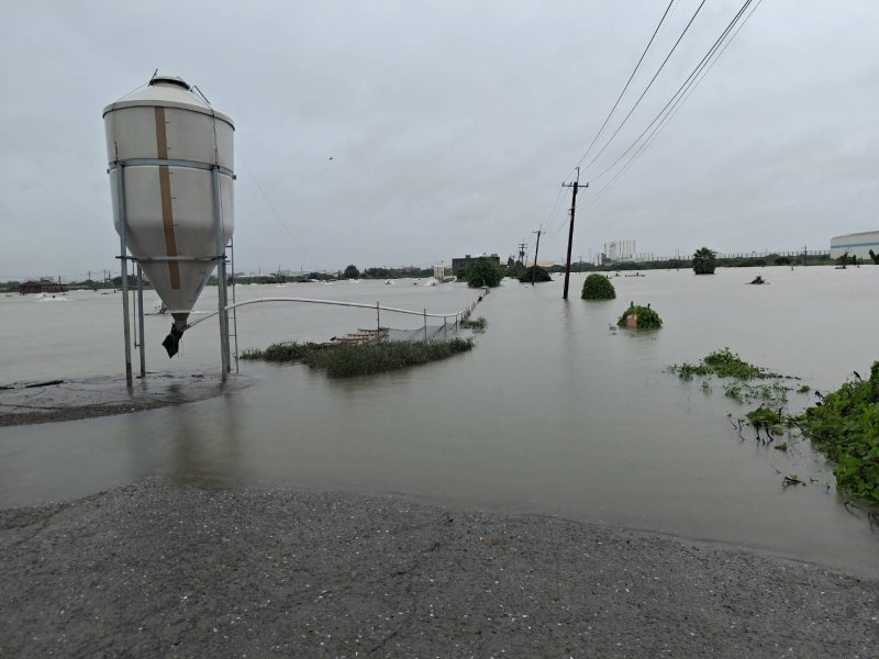 土堤在豪雨中發生破口，大水灌入周邊魚塭，部分道路最高積水一度超過2公尺。馬路、魚塭已經傻傻分不清。圖為昨天已經有部份水退的畫面。(漾新聞記者陳雯萍翻攝｜養殖戶提供)