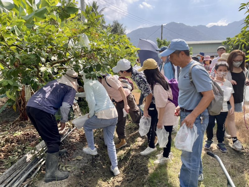 漾新聞|走進客庄秋日餐桌！右堆山城食旅揭開「吃得懂土地」的味道
