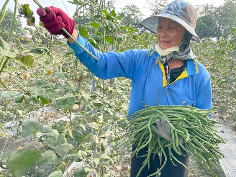 漾新聞| 無所不偷 老農氣得告御狀