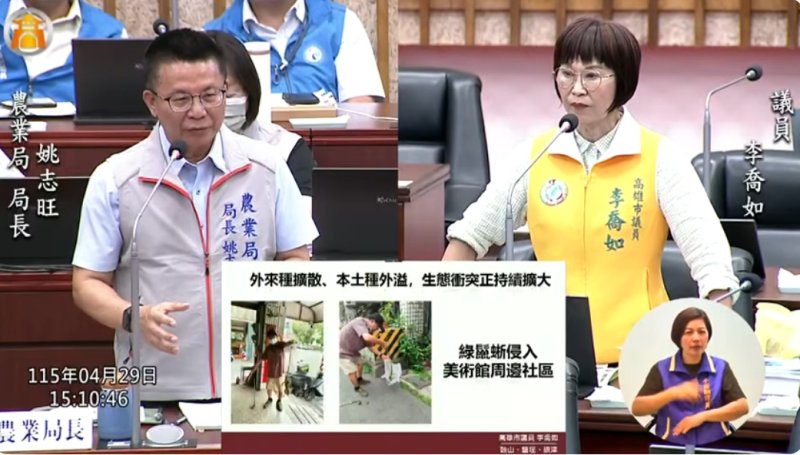 漾新聞｜綠鬣蜥闖進鼓山社區 李喬如促升級通報移除機制