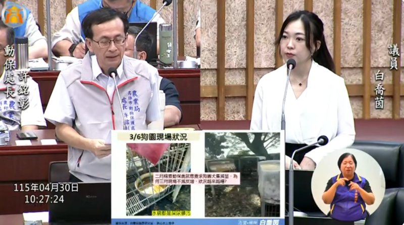 漾新聞｜美濃狗園驚見300犬爆量惡劣照護  白喬茵促動保補破網