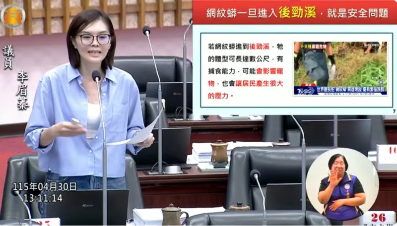 漾新聞|綠鬣蜥占領楠梓？李眉蓁示警網紋蟒恐成下一波危機