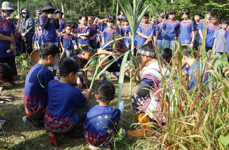 漾新聞|巴楠花部落中小學114學年度夏學祭