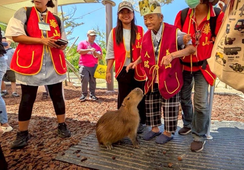 漾新聞|華山於野森動物學校端午公益活動
