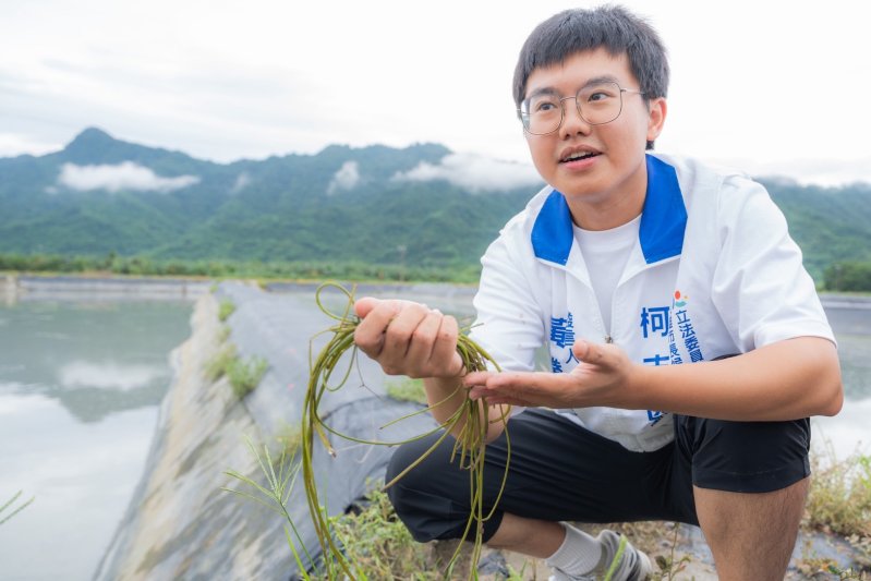 漾新聞｜水蓮本來就長在水中不怕颱風淹水？青農在網路政治口水戰中說分明