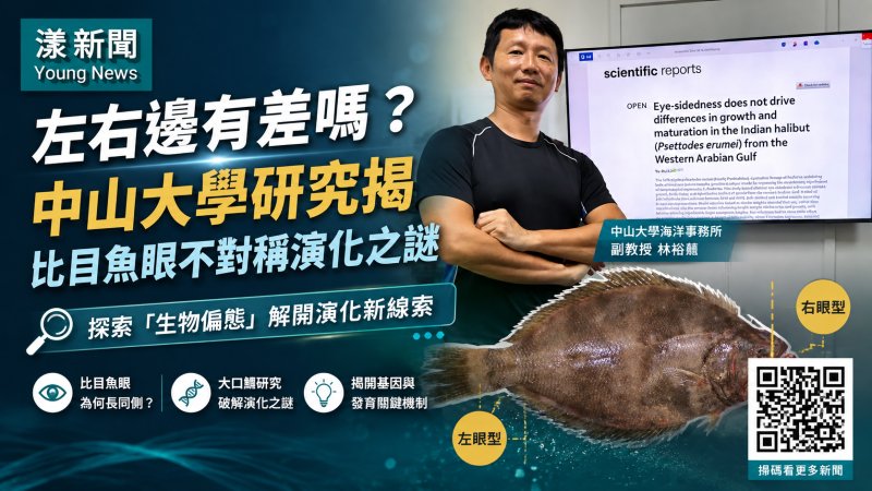 漾新聞｜比目魚眼睛長哪邊有差嗎？中山大學破解不對稱演化之謎