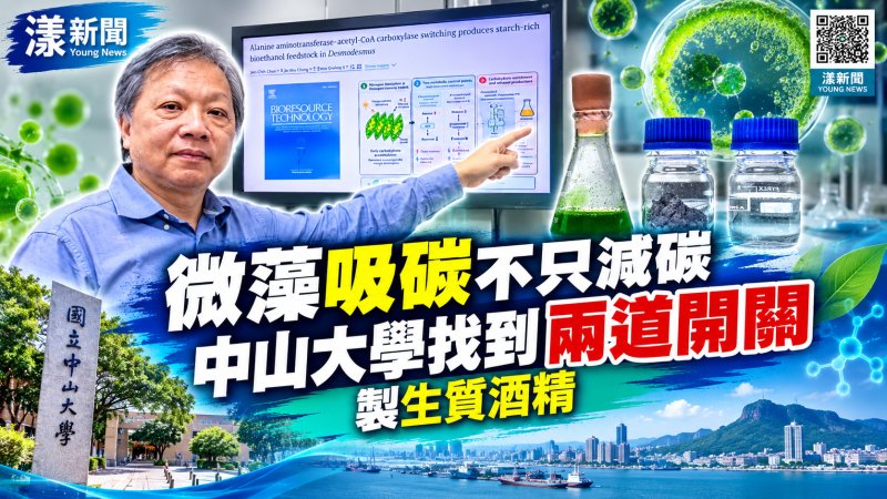 微藻吸碳變綠能！中山大學破解兩道開關製酒精
