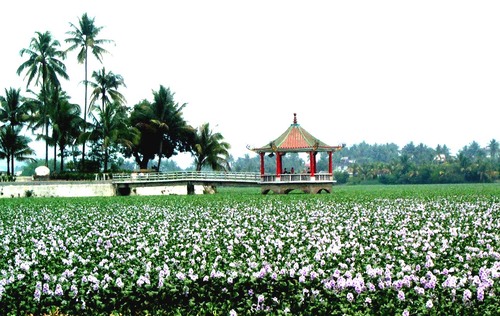 美濃名湖美濃湖 黃山高／2014高雄小故事3級獎／漾新聞