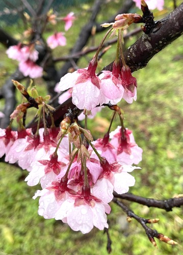 構圖的魅力  張淑德／藝術家／漾新聞