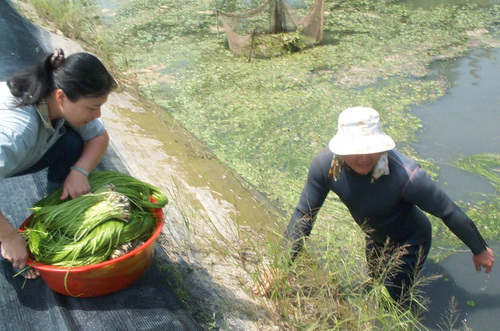 美濃粄條客家菜／黃山高  2014高雄小故事三級獎／漾新聞