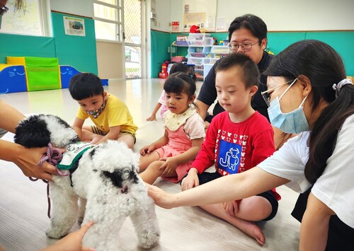漾新聞|毛老師好朋友？療癒慢飛天使