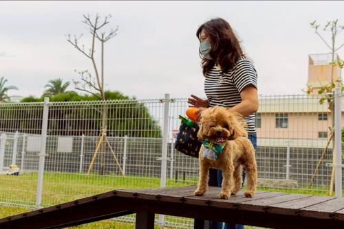 新設的寵物活動區依犬隻體型分為大小犬活動空間。