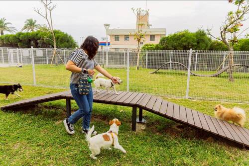 寵物活動區配備涵洞、獨木橋、休憩座椅等設施。