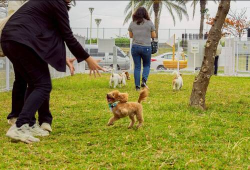 梓官「綠3寵物活動區」貼心設置了各種毛孩專屬設施。_