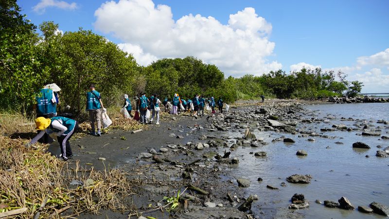  青年局號召45位青年志工齊聚林園紅樹林生態區，以淨灘行動響應「世界海洋日」。