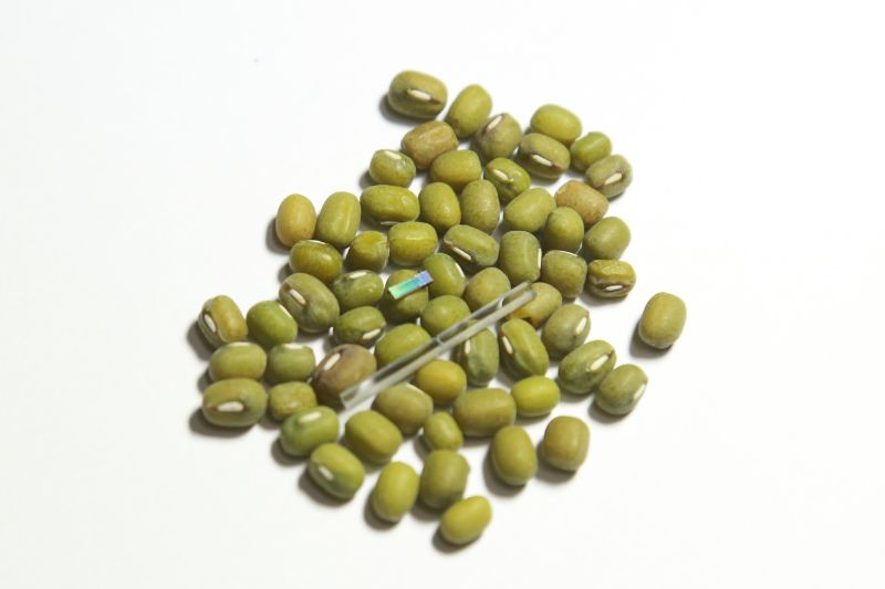 國立中山大學光電工程學系特聘教授洪勇智率研究團隊獨創「矽光子積體電路及光纖陀螺儀裝置」技術，整合多項光電元件於單一矽光子晶片中，體積較一顆綠豆還小。