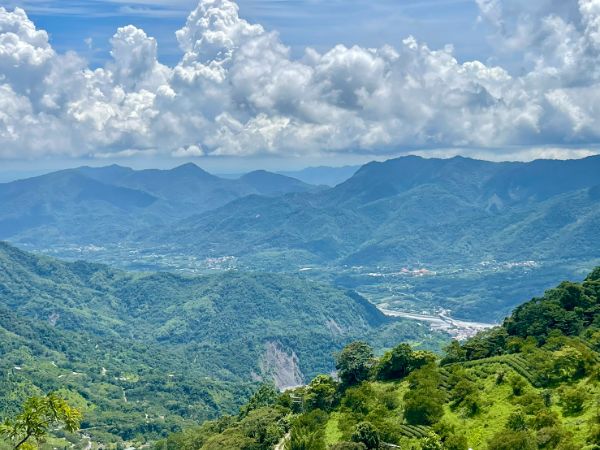 漾新聞｜夏至登山趣！六龜寶來健行品茶又摘果　山林茶香一日暢遊