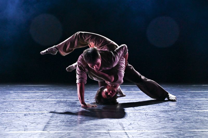 從高雄飛向世界！翃舞製作《推拉》橫掃歐洲金獎再戰亞維儂。