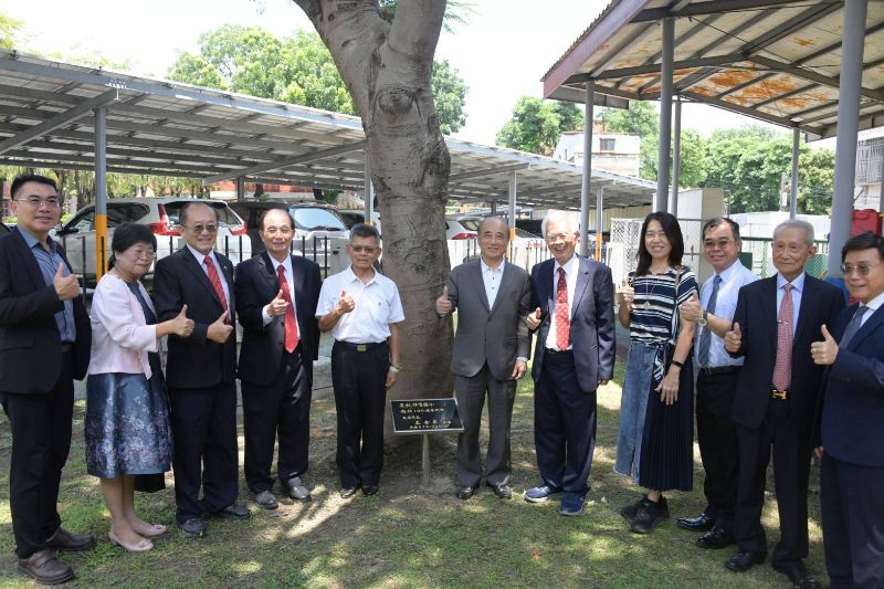 圖／前立法院長王金平特地回到校園探望他十多年前親手種下的鳳凰樹，如今枝繁葉茂，需兩人合抱，象徵梓官教育的根深葉茂與持續茁壯，令人感動。(梓官國小提供)