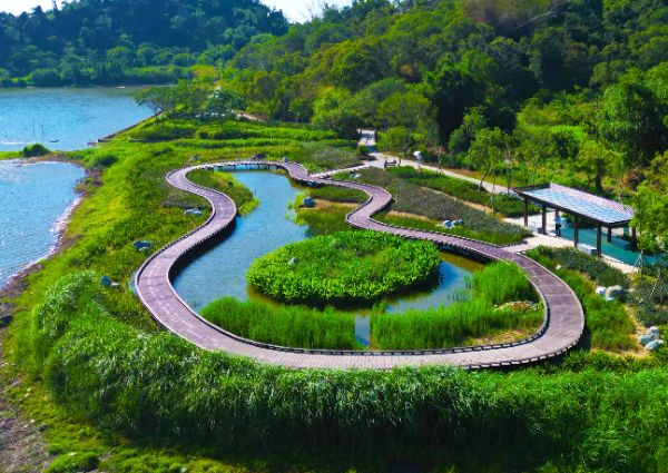 漾新聞｜高雄觀音湖爆紅！賞螢秘境奪雙獎成永續新亮點