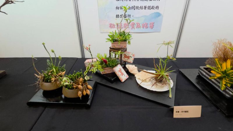 高雄市花友協會慶祝成立三十週年,舉辦「璀璨三十 花藝饗宴」為主題的藝展,展出五大流派60件創意作品,爭奇競艷難得一見。(漾新聞記者陳雯萍攝) 高雄市花友協會慶祝成立三十週年,舉辦「璀璨三十 花藝饗宴」為主題的藝展,展出五大流派60件創意作品,爭奇競艷難得一見。(漾新聞記者陳雯萍攝)
