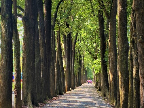 漾新聞|茂管處邀您FUN遊高屏清涼呷冰
